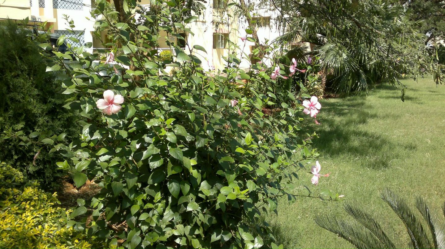 Ганна Захарчук | Хмельницкий