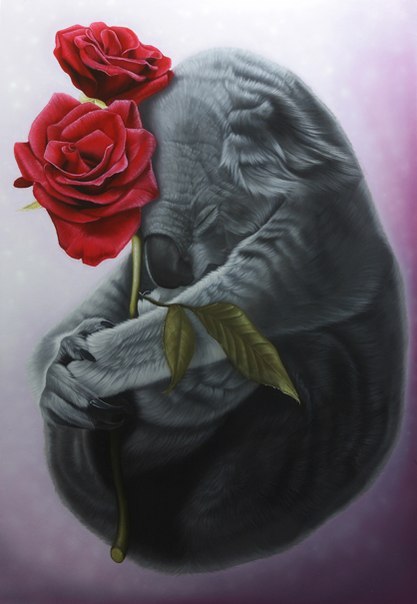 Dasha Yermolayeva | Санкт-Петербург