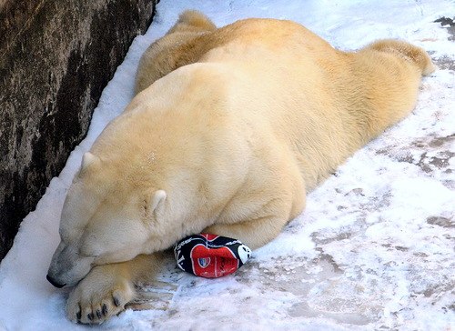 Алексей Даниленко | Херсон