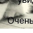 №18, Уляна Каракоцюк, Гусятин №18, Уляна Каракоцюк, Гусятин