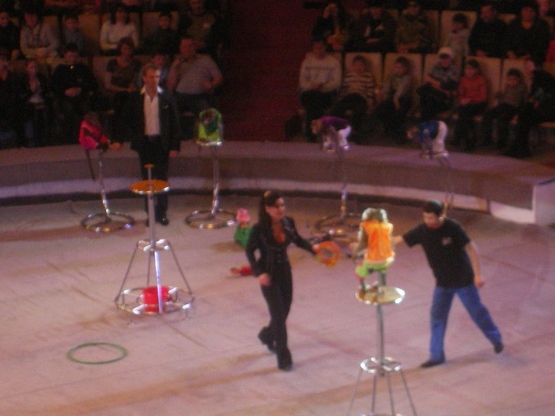 Айрус Губайдуллины | Уфа