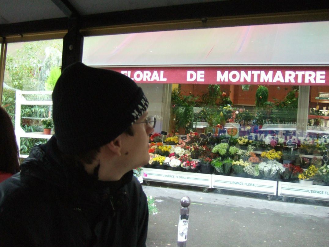 Илья Гец | Stein