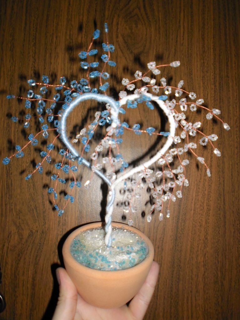 Кристина Цурко-Чирок | Калининград