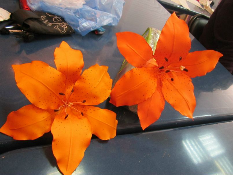 Владлена Золотарёва | Ярославль