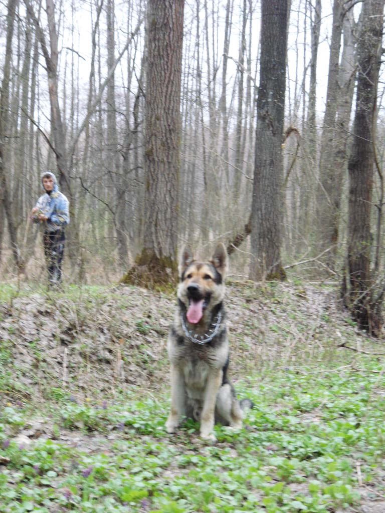 Іван Воскобойник | Лебедин