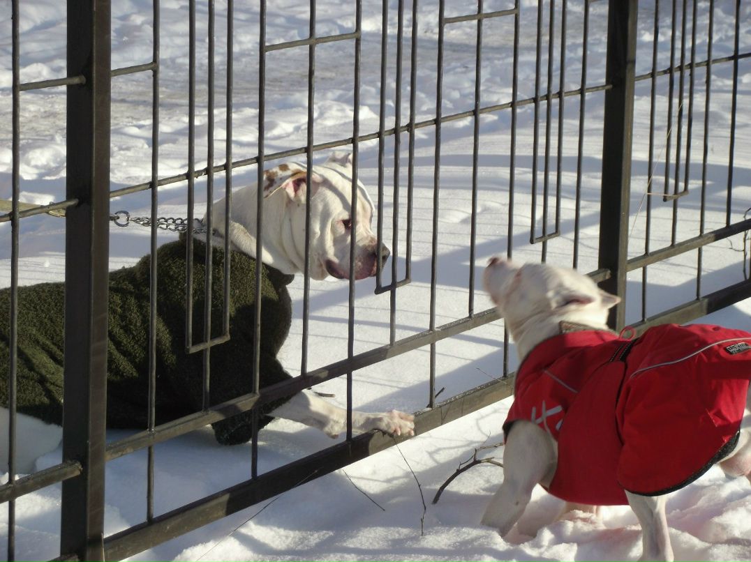 Дмитрий Сметанкин | Санкт-Петербург