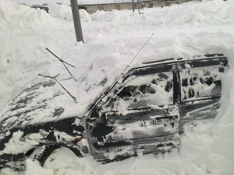 Александр Коньков | Холязино