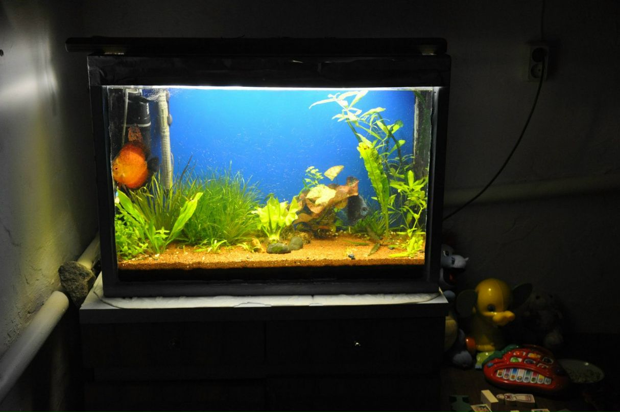 Зульфат Бабаев ℂ⋆ | Тюмень