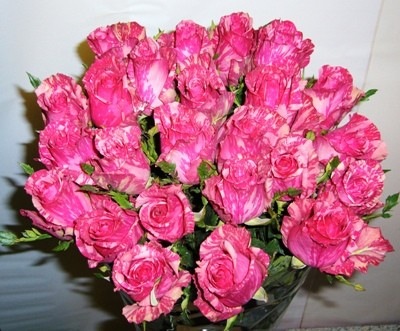 №27, Ярослава Суховиенко, 37 лет, Киев №27, Ярослава Суховиенко, 37 лет, Киев