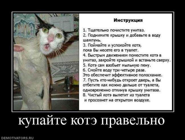 Ольга Черномаз (Del) | Киев