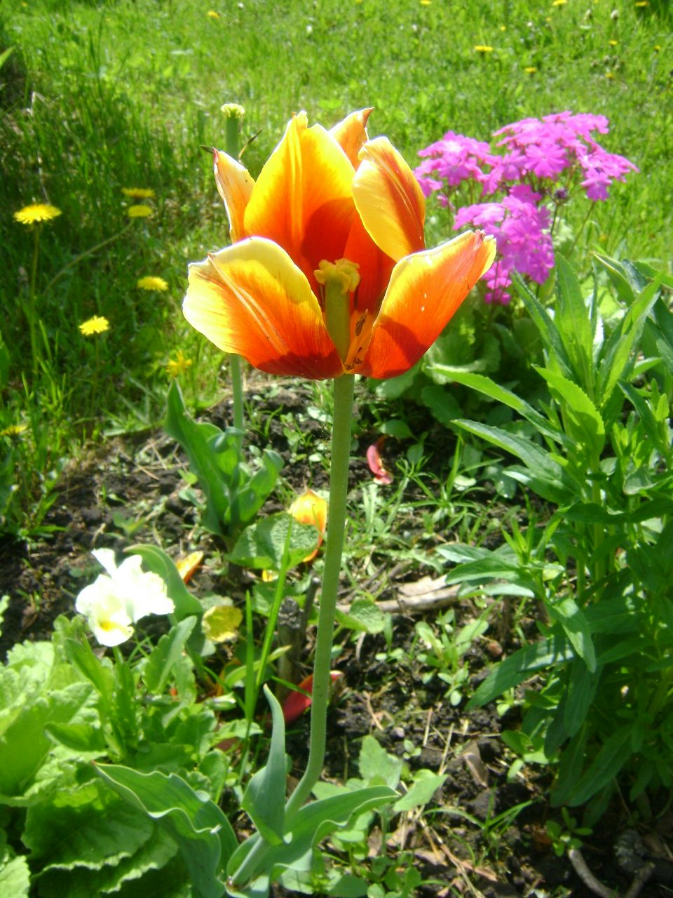 Света Ширялина | Москва