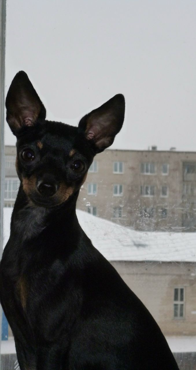 Мария Шумакова | Кунгур