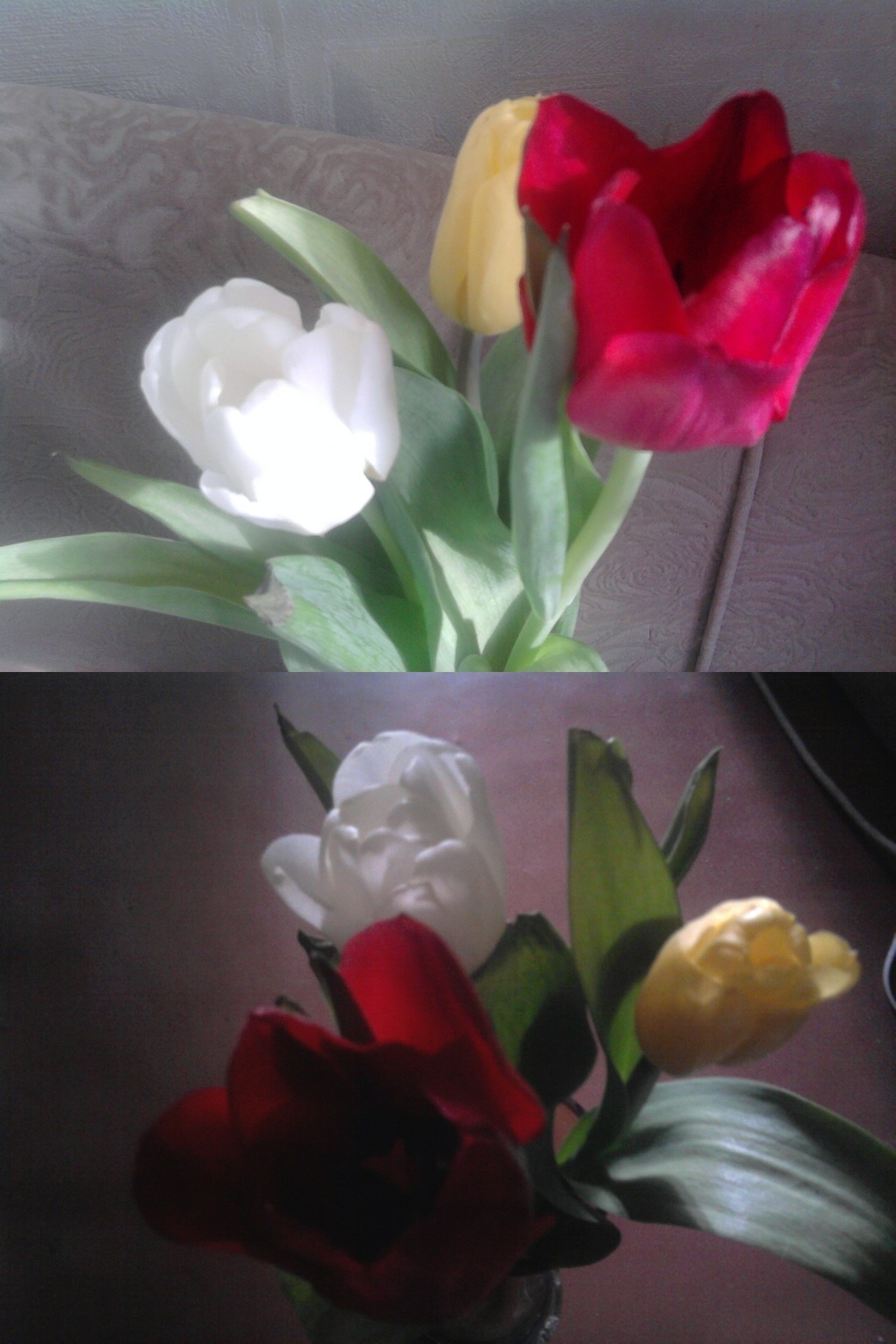 Вероника Шевякова | Санкт-Петербург