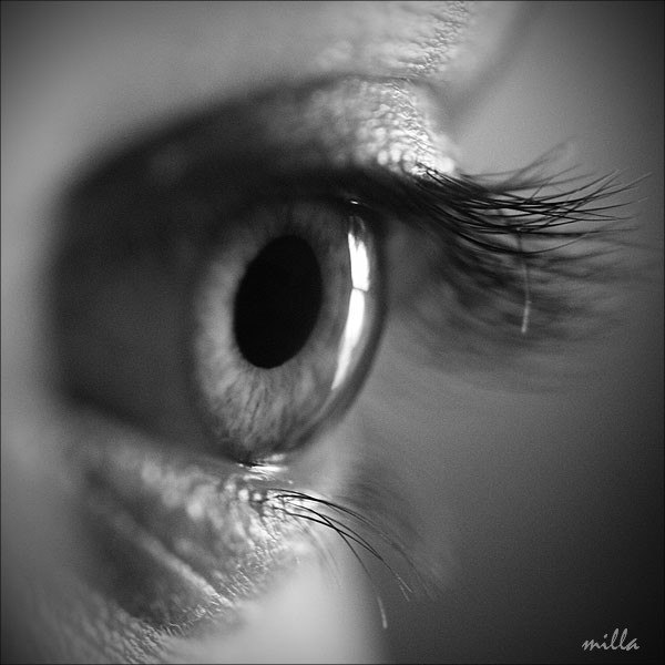 Кира Титова | Ростов-на-Дону