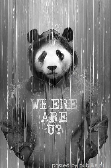 Карл Притыка | Мариуполь