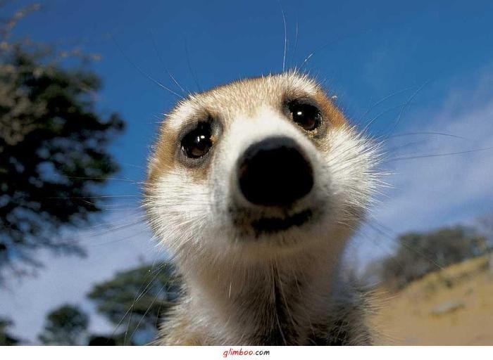 Игорь Доскоч | Харьков