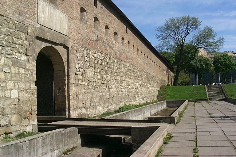 Елена Бравая | Львов