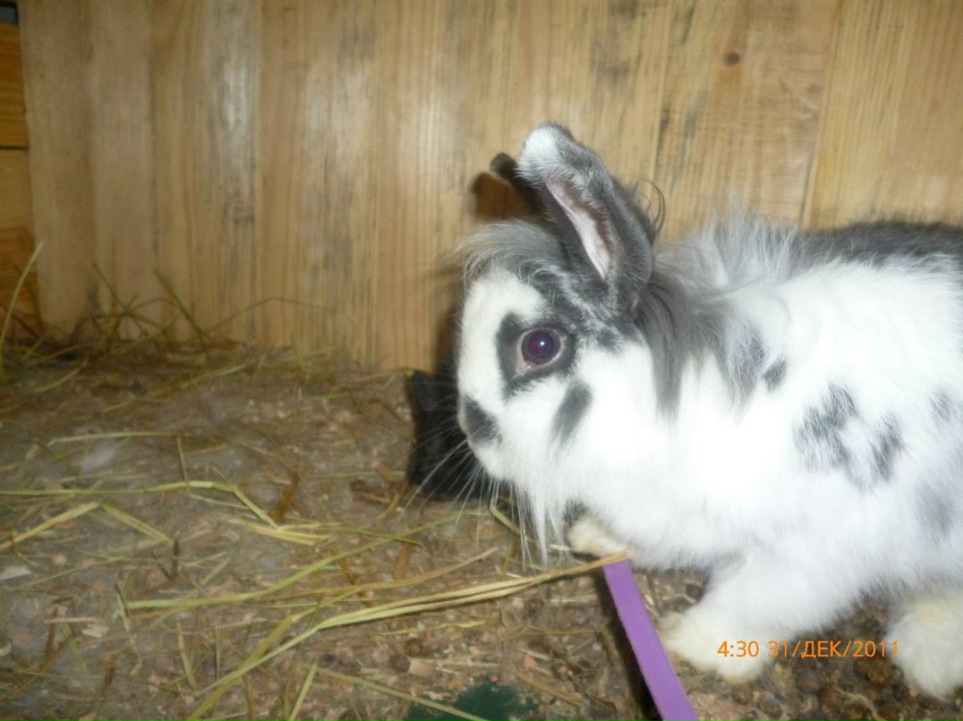 Ольга Боярская | Днепр (Днепропетровск)