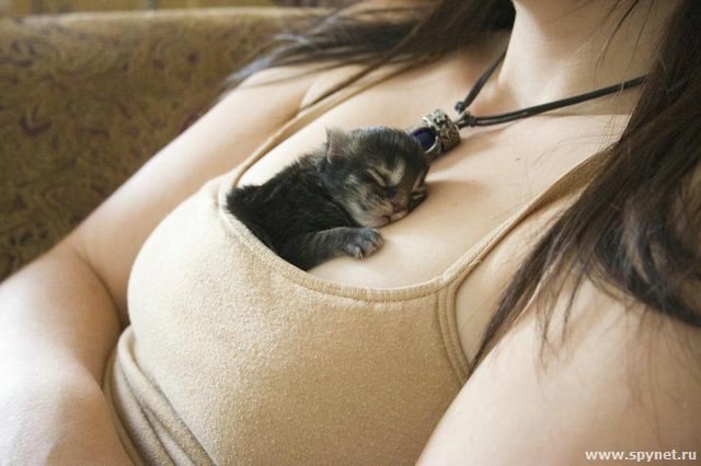 Всеволод Самарцев | Москва