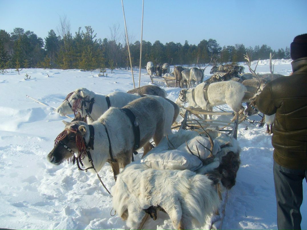 Любовь Седова (Шкуропатова) | Сургут