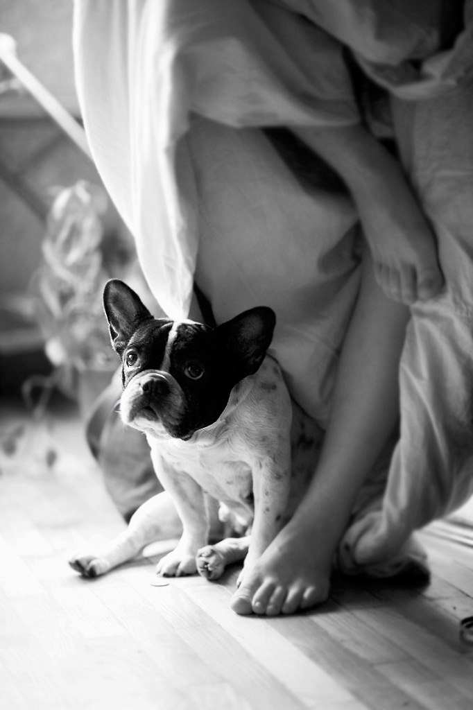 Лена Скоморохова | Киев