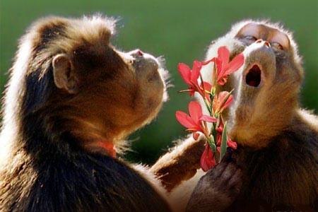 Svet Икс | Москва