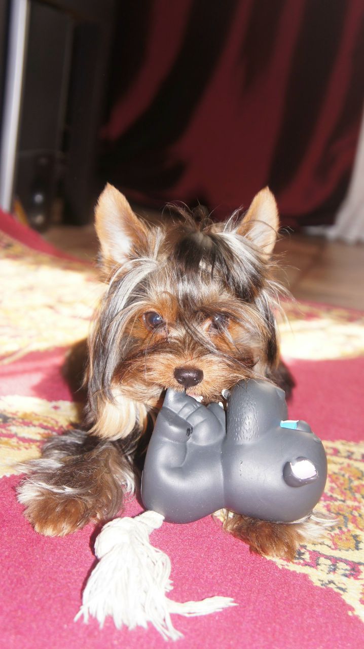 Анастасия Тихонова | Москва