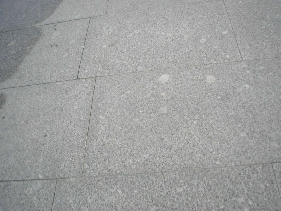 Николай Иоров | Санкт-Петербург