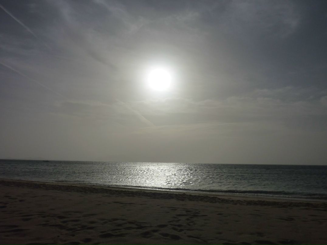 Эл Шоу ~DarLing~ | 