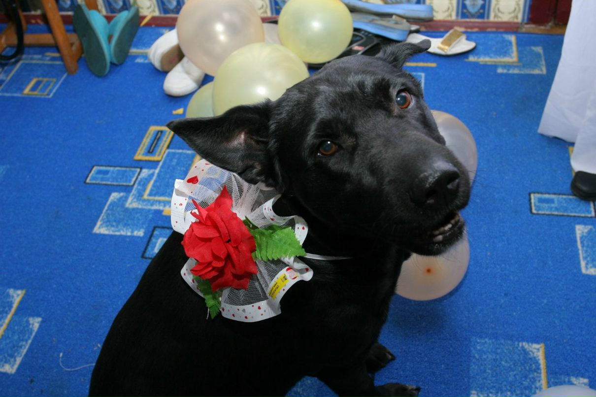 Серёжа Шевчук | Минск