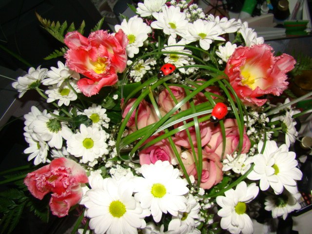 Юлек Котельникова | Волгоград