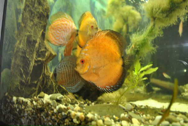 №13, Ольга Грузд, 40 лет, Симферополь №13, Ольга Грузд, 40 лет, Симферополь