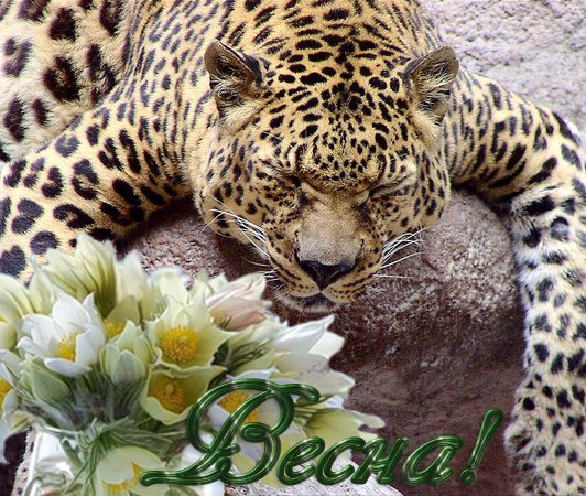 №92, Елена Журавлева, Челябинск №92, Елена Журавлева, Челябинск