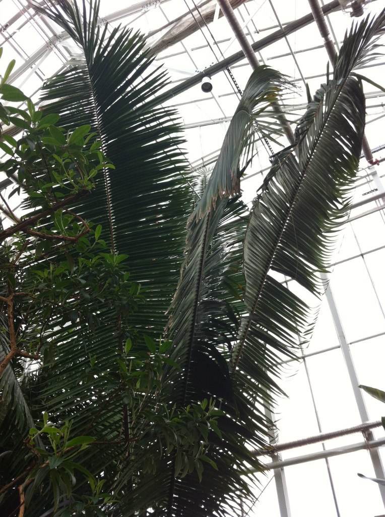 Анастасия Резвая | Санкт-Петербург