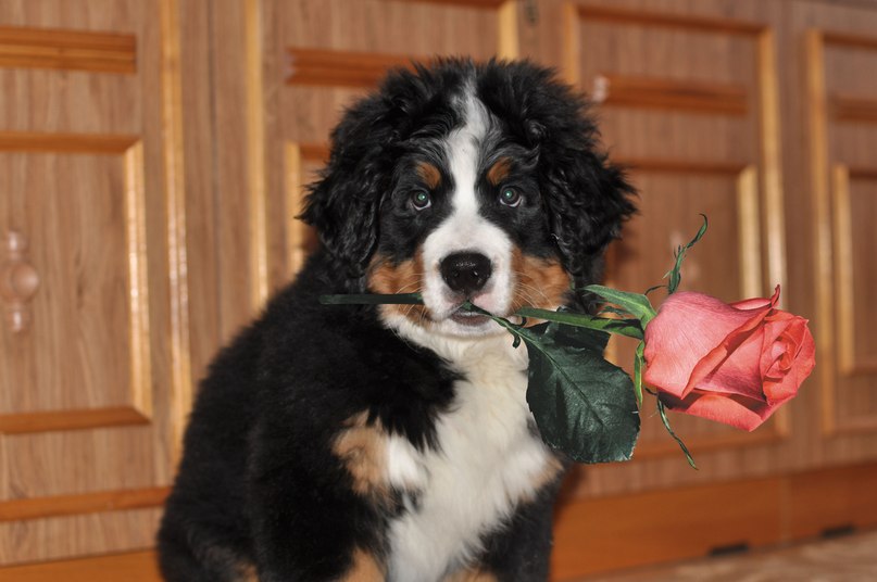 Дарья Исакова | Москва