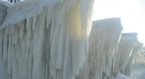 Вера Шевченко | 