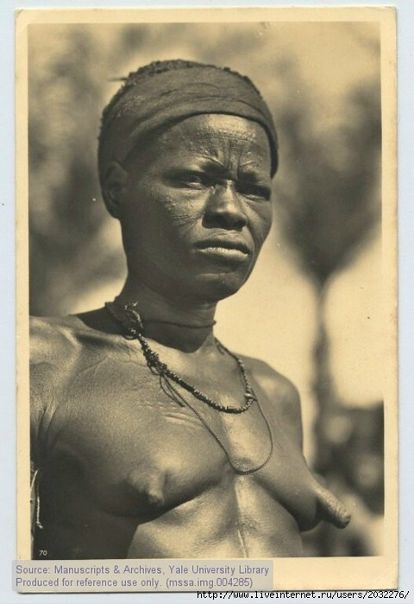 №171, Pasha Vertitski, Gdynia №171, Pasha Vertitski, Gdynia