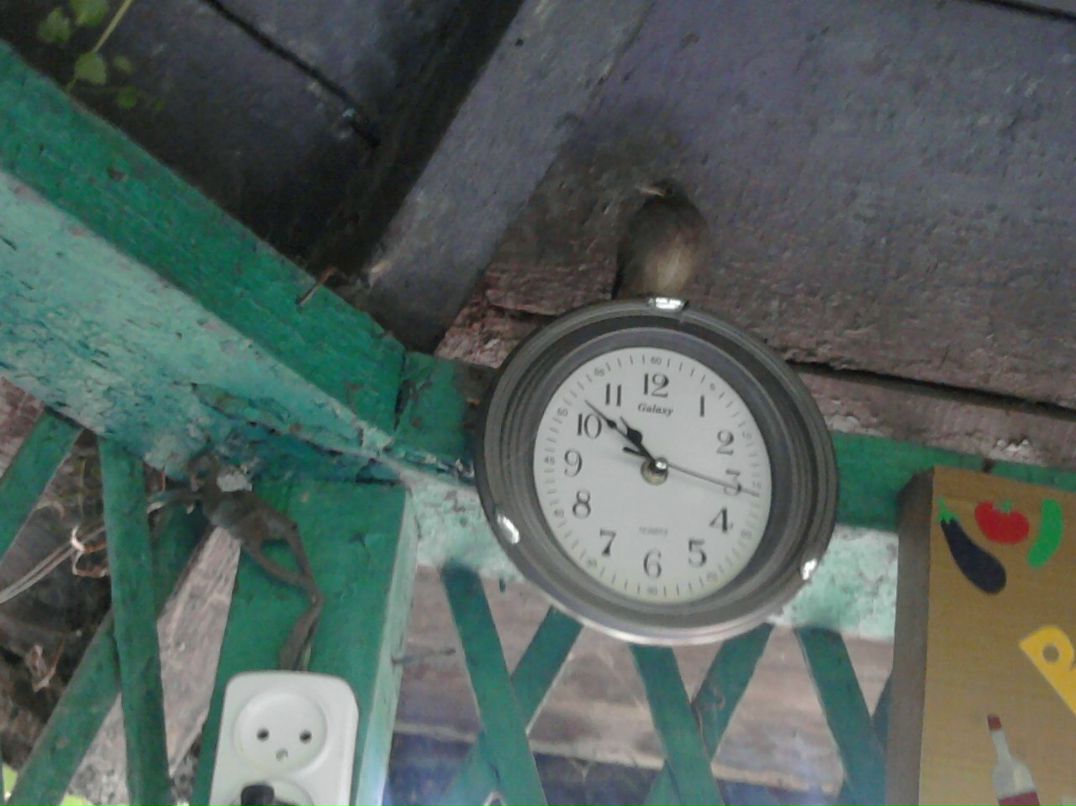 Наталья Талан | Донецк