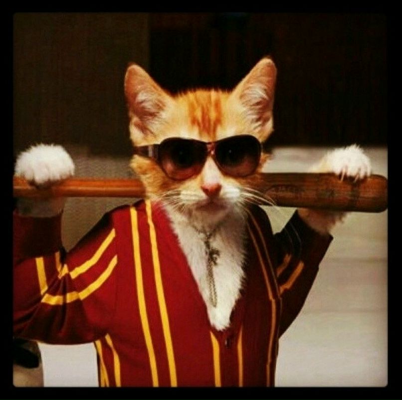 Алексей Шаповал 