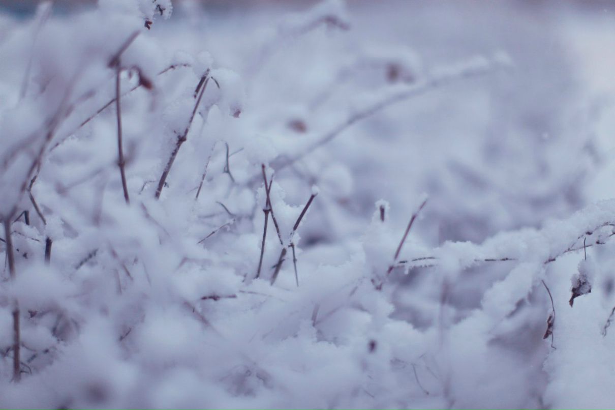 Инна Макеенко | Москва