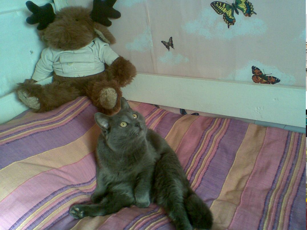 Ирина Кригер | Белая Холуница