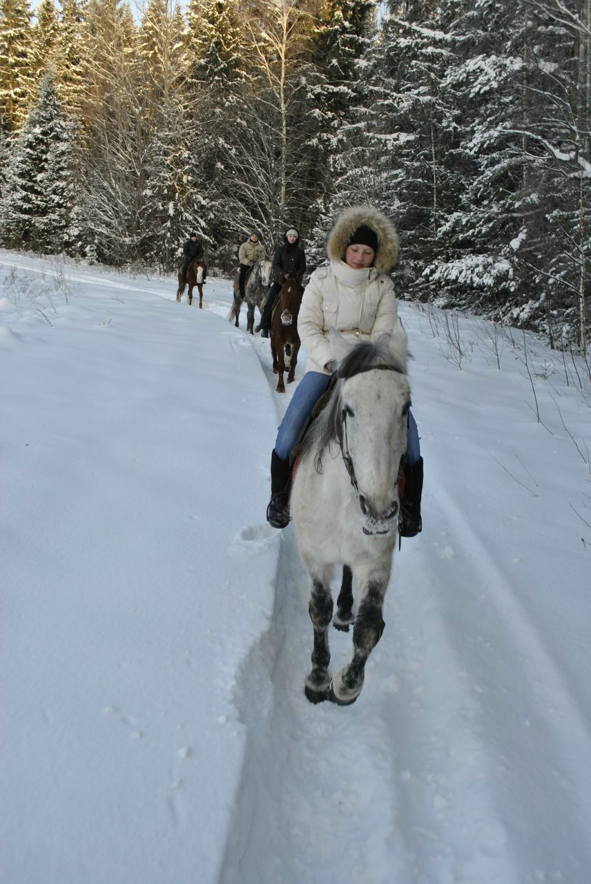 Ирина Орлова | Нижний Новгород