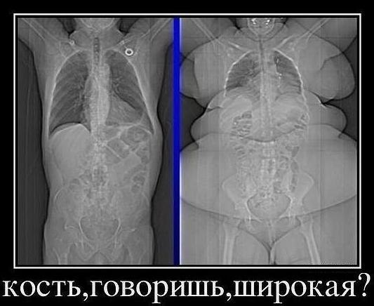 Михаил Мельник | Санкт-Петербург