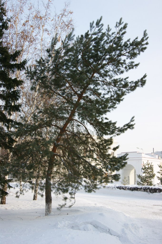 Дима Данилов | Омск