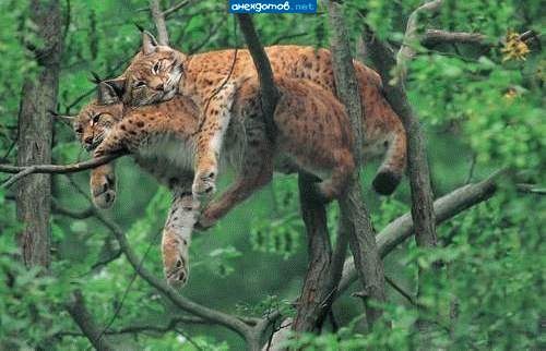 №39, Таня Лозенко, Киев №39, Таня Лозенко, Киев