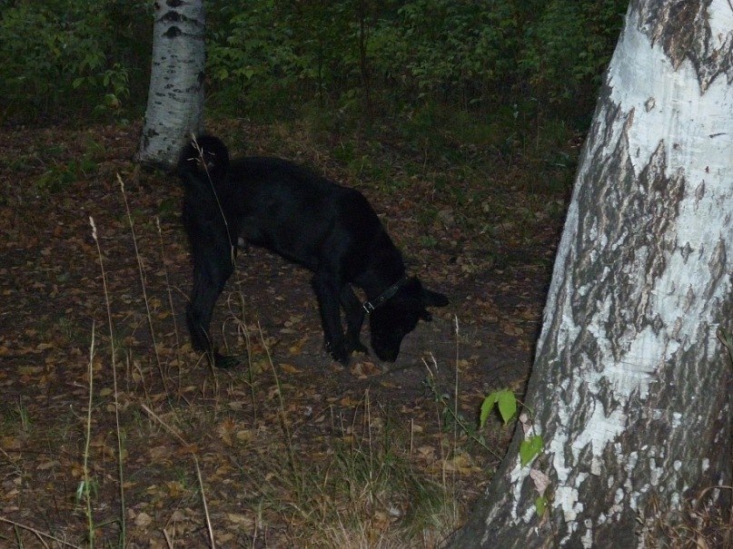 Ирина Калинина Ивановна | Ижевск