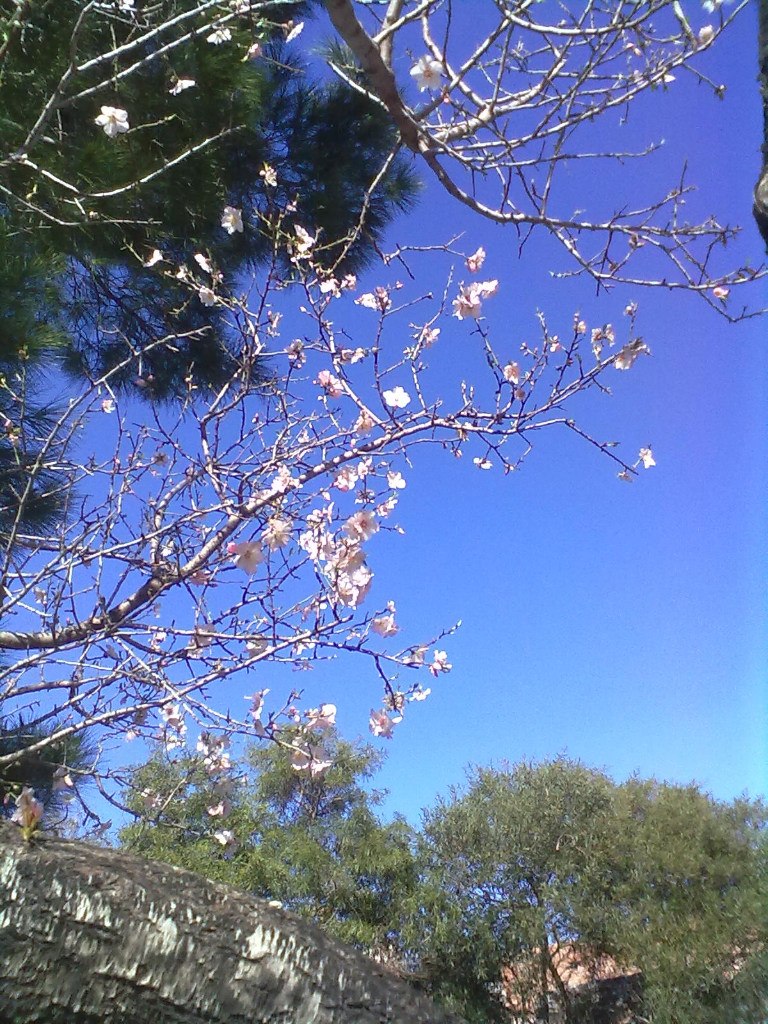 Мария Зажигалкина | Санкт-Петербург