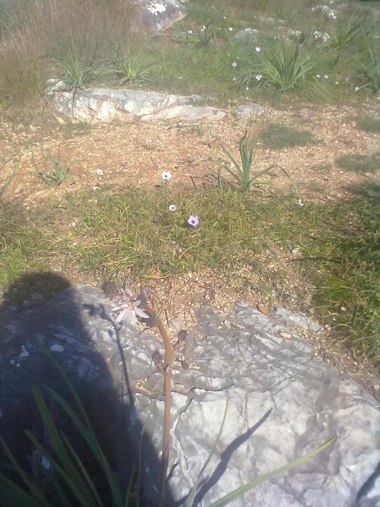 Мария Зажигалкина | Санкт-Петербург