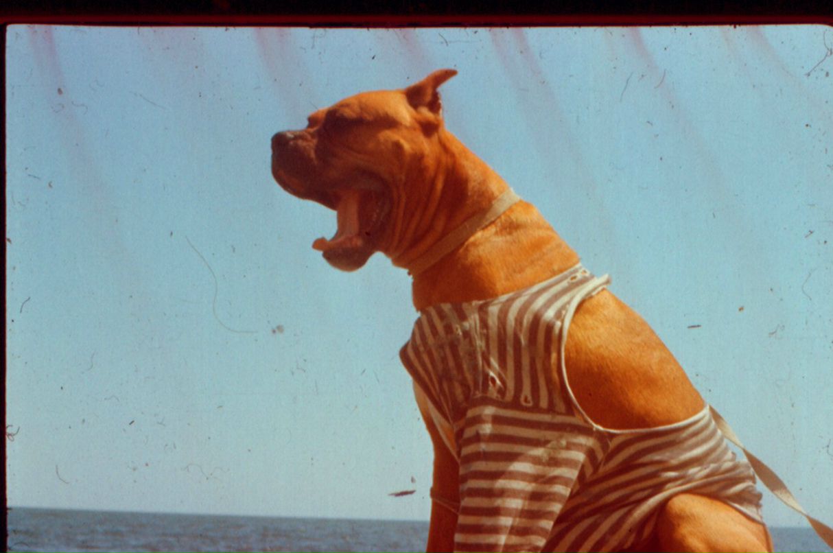 Владислав Стулов | Софрино (поселок)