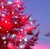 №18, Олеся Данильчук, 38 лет, Ровно №18, Олеся Данильчук, 38 лет, Ровно